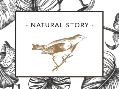 Natural Story kerstpakketten