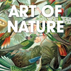 Art of Nature kerstpakketten