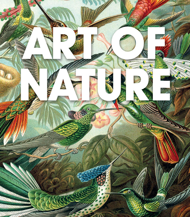 Art of Nature kerstpakketten