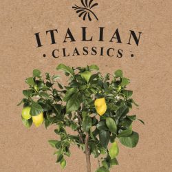 Italian Classics kerstpakketten