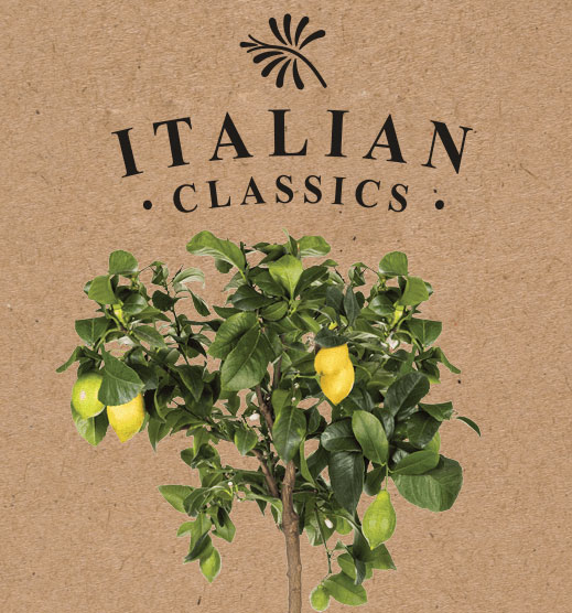 Italian Classics kerstpakketten